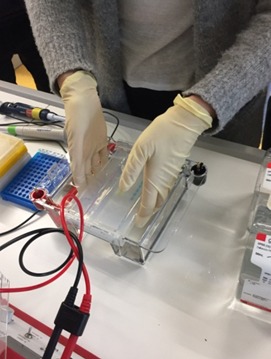 2021 09 Rentascientist3