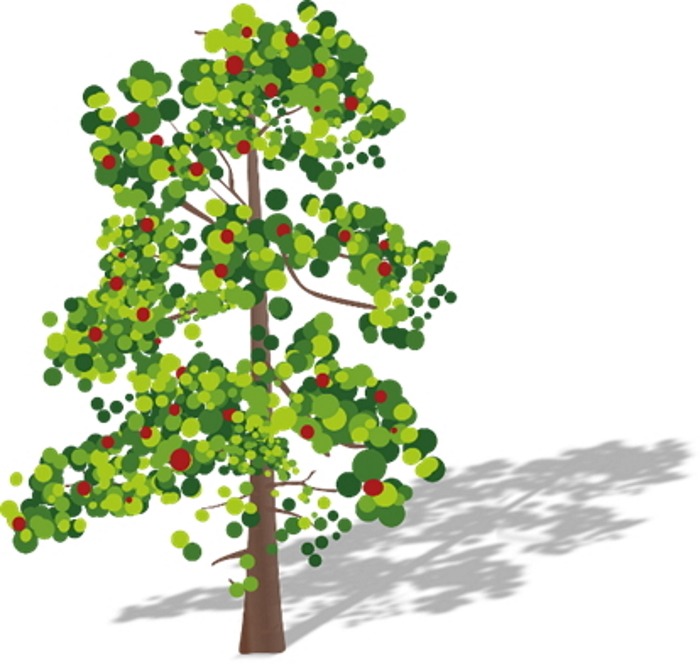 Baum Baum